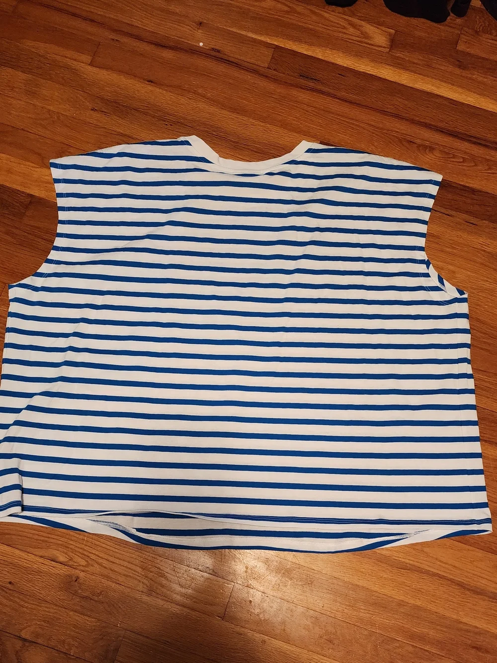 Plus Size Kate spade Blue & White Striped Tank with Red Lettering